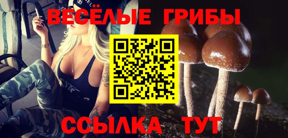 Галлюциногенные грибы GOLDEN TEACHER Кисловодск