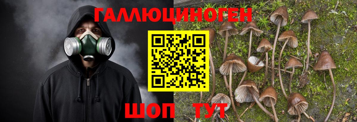 МЕФ Кисловодск